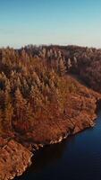 Beautiful lake near the forest. Calm evening in nature. River and trees landscape in winter without snow. Motion camera forward down. Vertical video