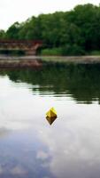Handmade yellow and blue paper ships are floating on the river in the evening. Two origami boats are sailing on calm river with a little rain falling from the sky into the water. Vertical video