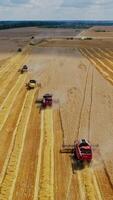 Aerial view of modern agricultural machinery working on the field. Many combine harvesters gathering ripe grains on the yellow background of field in rural place. Vertical video