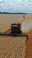Aerial view of a modern combine harvesting dry grains at seasonal works. Combine working at wheat field in summer. Agriculture concept Vertical video