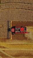 Aerial view of combine harvester working on the field. Top view of agricultural machine gathering ripe wheat on the golden field. Vertical video