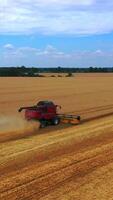Process of gathering a ripe crop from the field. Red combine harvester in action on wheat field. from dron. Vertical video
