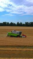 Green grain harvesting combine in a sunny day. Yellow field with grain. Agricultural technic works in field. Closeup. Vertical video