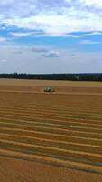 Grain green harvesting combine in a sunny day. Yellow field with grain. Agricultural technic works in field. from side. Vertical video
