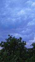 Green trees under the the cloudy sky. Top of trees are moving by the strong wind on the background of blue sky at sunset in the evening. Vertical video