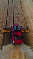 Combine harvester working on a wheat field. Selective aerial focus from above. Red modern combine whilw cropping dry wheat. Vertical video