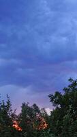 Wind shakes green trees before the rain outdoors. Lightning sparkles in the sky with many clouds under the tops of trees in the evening. Vertical video