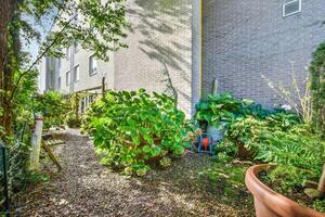 A garden with plants and trees in front of a building photo
