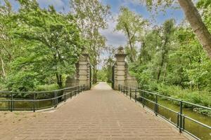 A bridge over a river in a park with trees photo