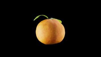 3D animation of a orange rotating around its axis. Alpha Channel. video