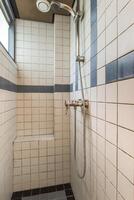 A shower with a shower head and a bench photo