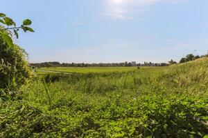 A view of a field with a bench and a fire hydrant photo