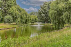 A pond surrounded by trees and grass photo