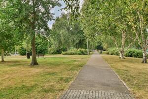 A path in a park with trees and grass photo