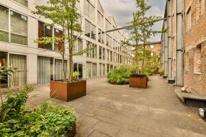 A courtyard with plants and trees in pots photo
