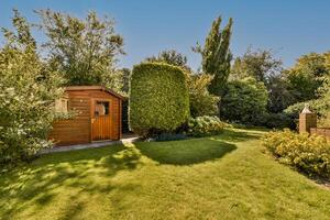 A small shed in the middle of a lush green yard photo