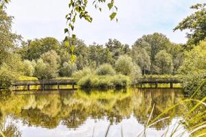 A bridge over a pond surrounded by trees photo