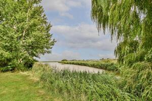 A grassy field with trees and a river photo