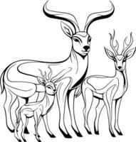 Antelope family with two antelopes vector