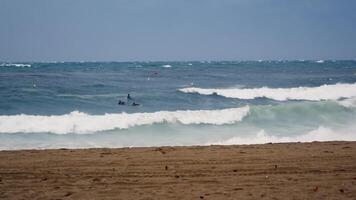 Man riding surfboard on wave in ocean video