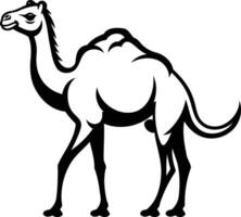A camel is standing in a black and white drawing vector