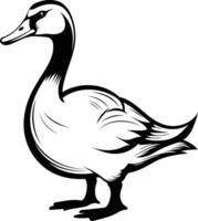 A black and white drawing of a duck vector