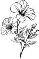Flower coloring pages free printable coloring pages vector