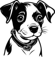 Black and white dog with collar on white background vector