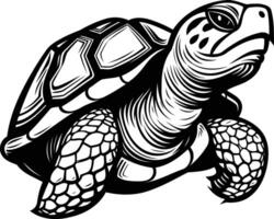 A turtle in a black and white drawing vector