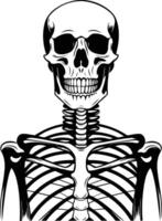 Skeleton with a black and white background vector