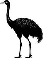 An emu is standing in a black silhouette vector