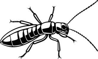 An insect with a long tail and a long body vector