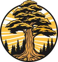 A tree with sun rays and pine trees in the background vector
