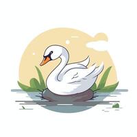 A white swan sitting on a rock in the water vector