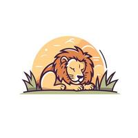 A lion sleeping in the grass with the sun behind it vector