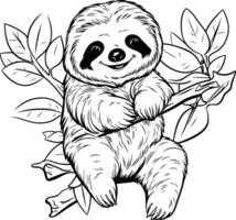 A sloth sitting on a branch coloring page vector