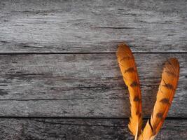 Feathers on old wooden background for vintage copy space photo
