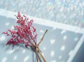 Pink dried flowers on reflection from window for minimalist background photo