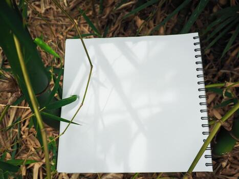 Notebook with leaves in the garden for copy space photo