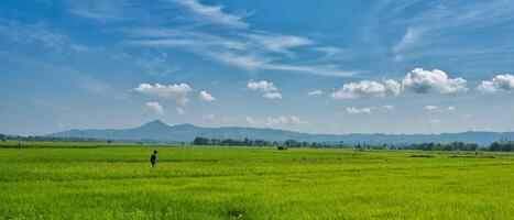 a man standing in a field with a blue sky photo