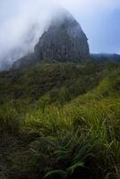Grassland with the foggy Sumbing Cliffs of Mount Kelud, the ridge consisting of dark gray Andesite Rock has a beautiful cone shape with a slope of almost 90 degrees. photo
