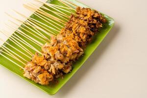 Sate taichan or Taichan satay with grilled chicken skin is a variation of chicken satay grilled and served without peanut or ketchup served with chili sauce. photo