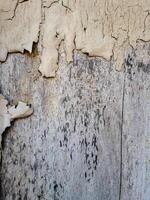 a weathered wooden surface with peeling white paint. The texture is rough and uneven, with visible cracks and chips photo