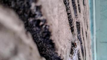 geometric pattern etched into a concrete surface photo