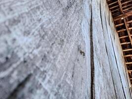 features a rustic wooden ceiling with exposed beams and aged planks photo