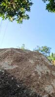 This close-up photo features a large, textured rock formation against a clear blue sky. The image captures the natural beauty and ruggedness of the outdoors.