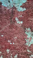 weathered wall with peeling paint in shades of blue, red, and white. The texture is rough and uneven, with visible cracks and chips photo