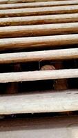 features a series of rusty wooden slats with a hidden object nestled between them photo