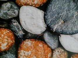 photo shows smooth, rounded stones arranged in a mosaic. The stones vary in color and texture.