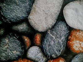photo shows smooth, rounded stones arranged in a mosaic. The stones vary in color and texture.